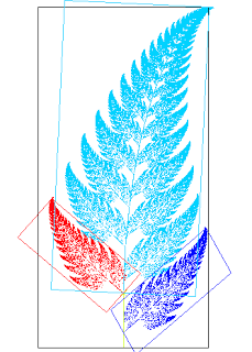 feriga fractal(biologie aplicata in informatica)